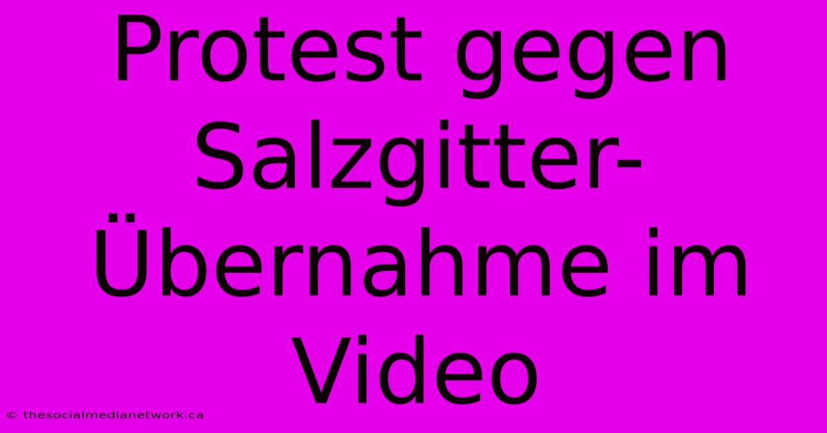 Protest Gegen Salzgitter-Übernahme Im Video