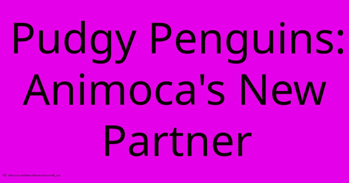 Pudgy Penguins: Animoca's New Partner