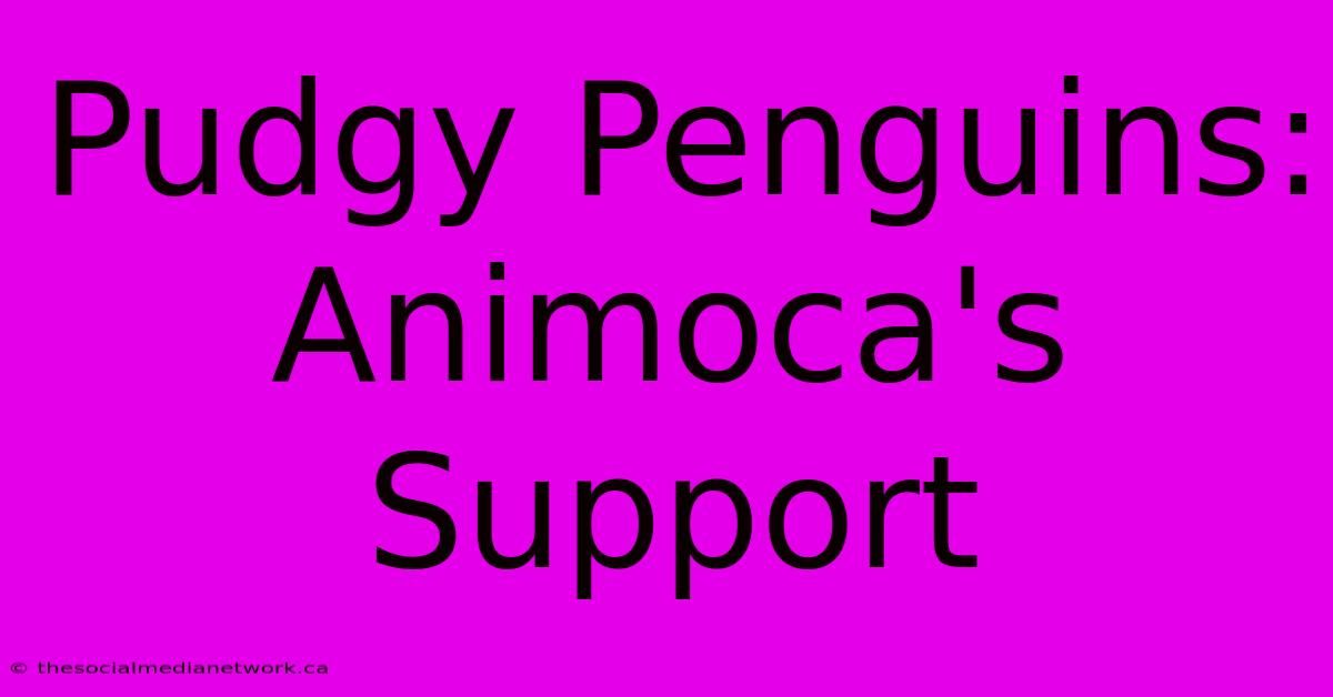 Pudgy Penguins: Animoca's Support