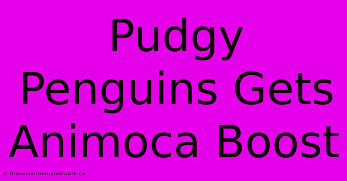 Pudgy Penguins Gets Animoca Boost