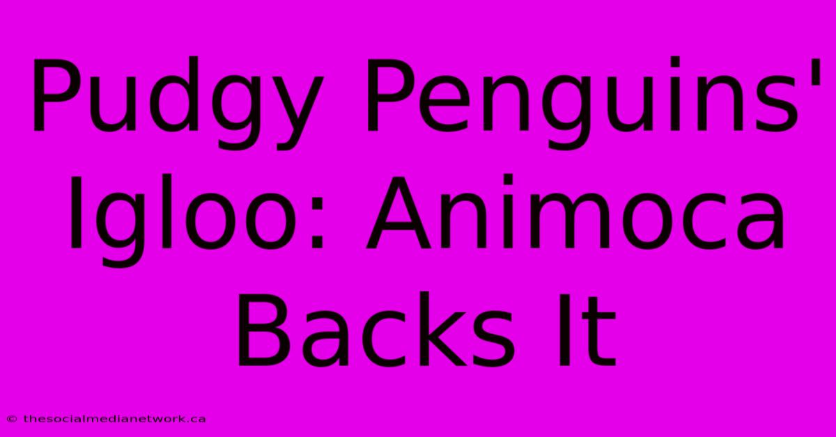 Pudgy Penguins' Igloo: Animoca Backs It