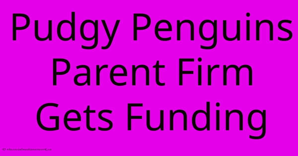 Pudgy Penguins Parent Firm Gets Funding