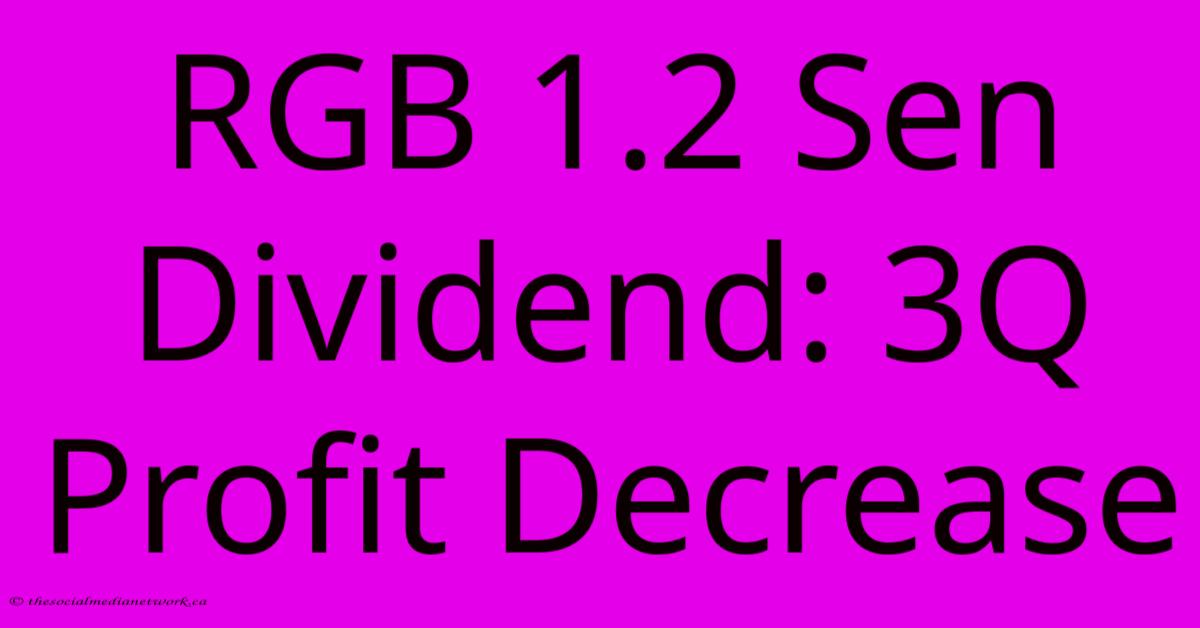 RGB 1.2 Sen Dividend: 3Q Profit Decrease