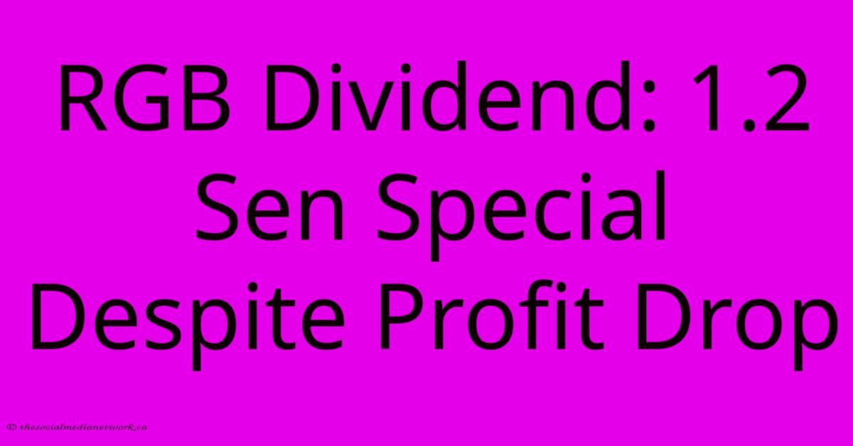 RGB Dividend: 1.2 Sen Special Despite Profit Drop