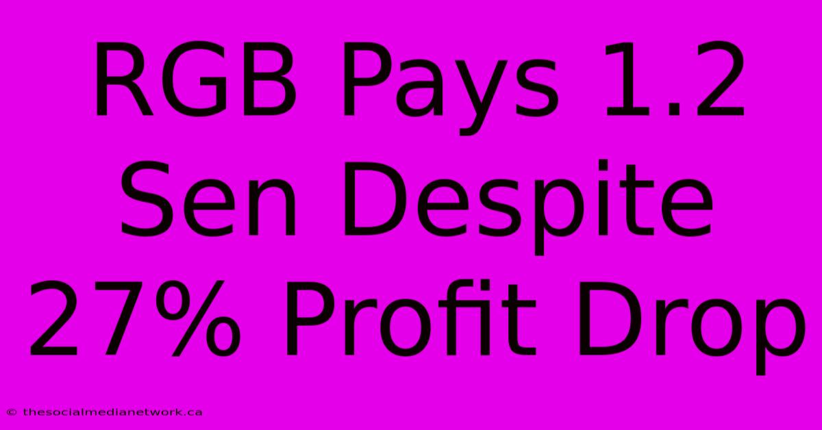 RGB Pays 1.2 Sen Despite 27% Profit Drop