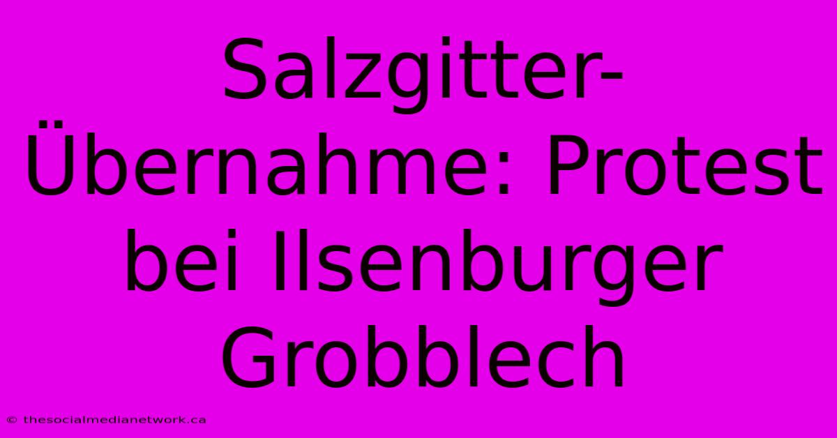 Salzgitter-Übernahme: Protest Bei Ilsenburger Grobblech