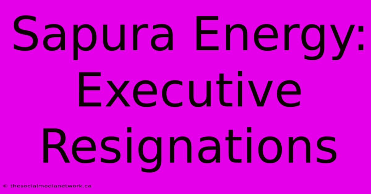 Sapura Energy: Executive Resignations