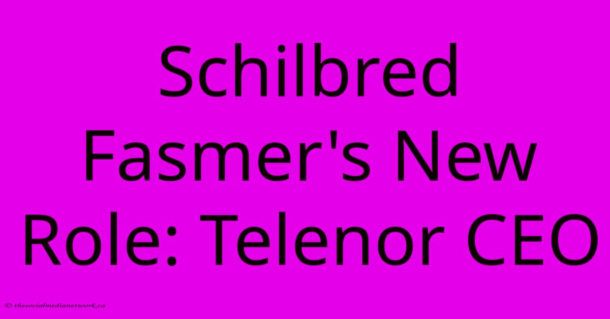 Schilbred Fasmer's New Role: Telenor CEO