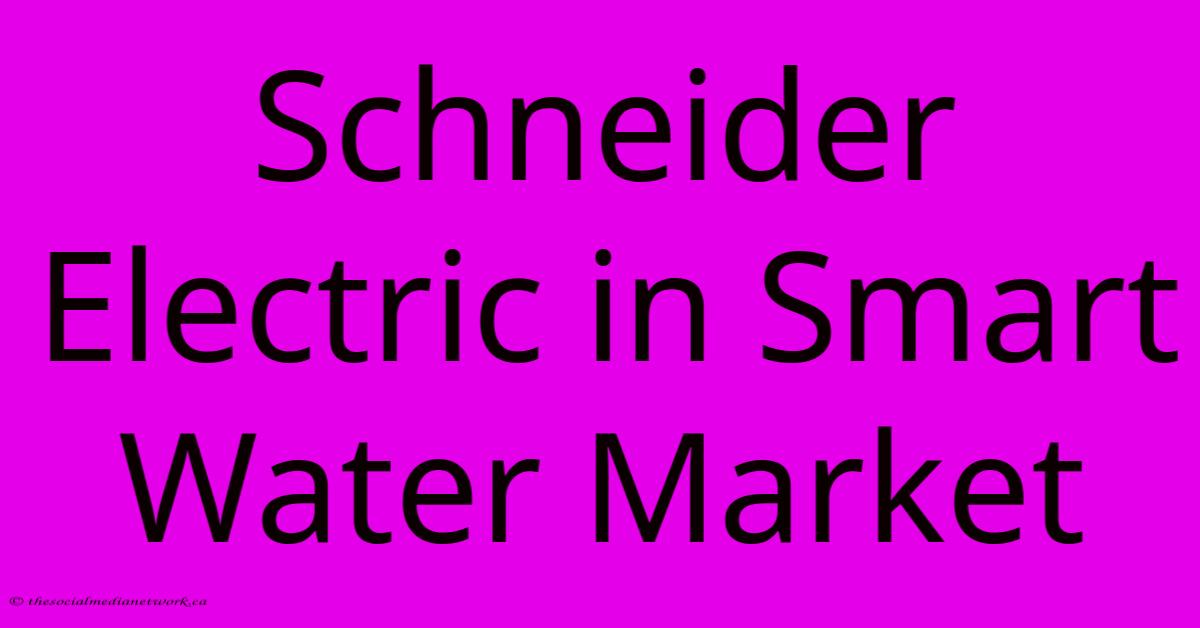 Schneider Electric In Smart Water Market Schneider Electric In Smart Water Market