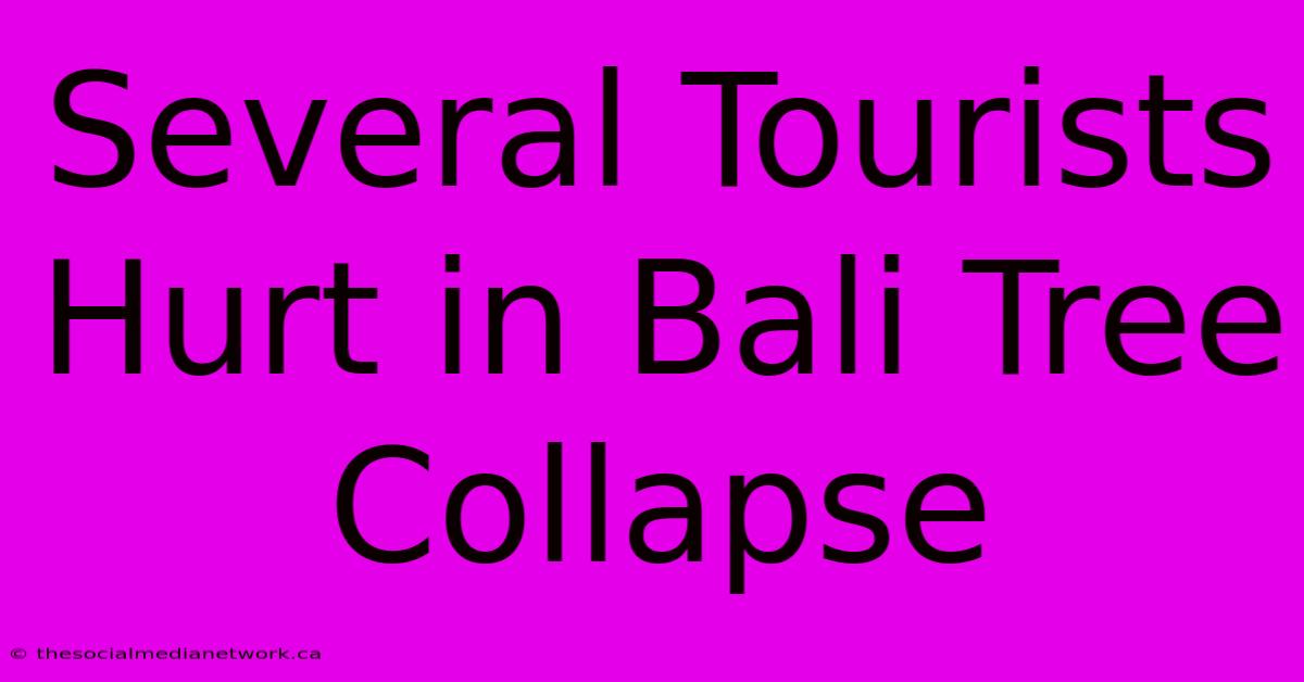 Several Tourists Hurt In Bali Tree Collapse