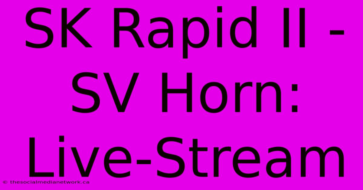 SK Rapid II - SV Horn: Live-Stream