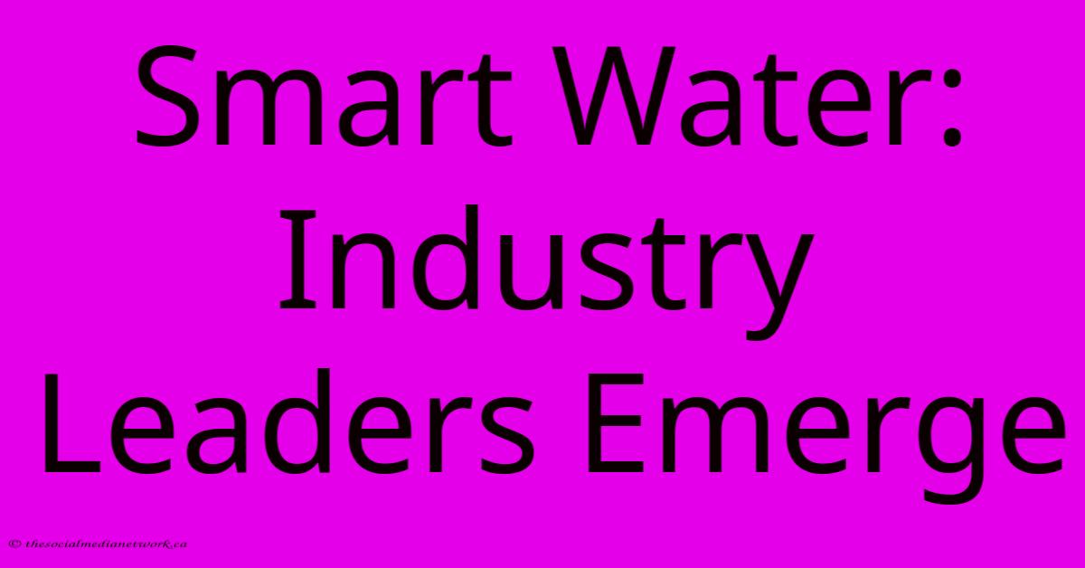 Smart Water: Industry Leaders Emerge Smart Water: Industry Leaders Emerge