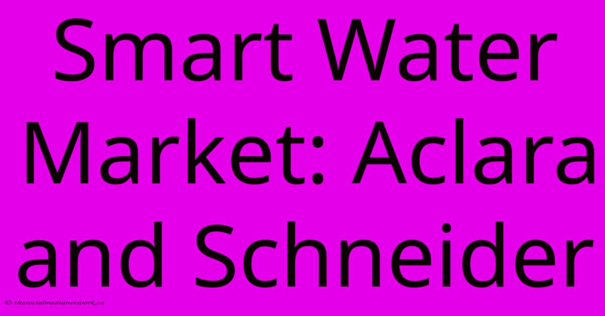 Smart Water Market: Aclara And Schneider Smart Water Market: Aclara And Schneider