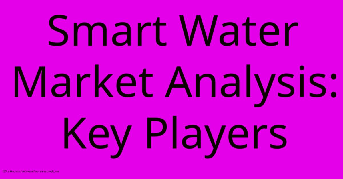 Smart Water Market Analysis: Key Players Smart Water Market Analysis: Key Players