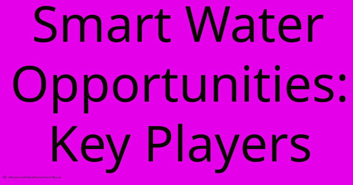 Smart Water Opportunities: Key Players Smart Water Opportunities: Key Players