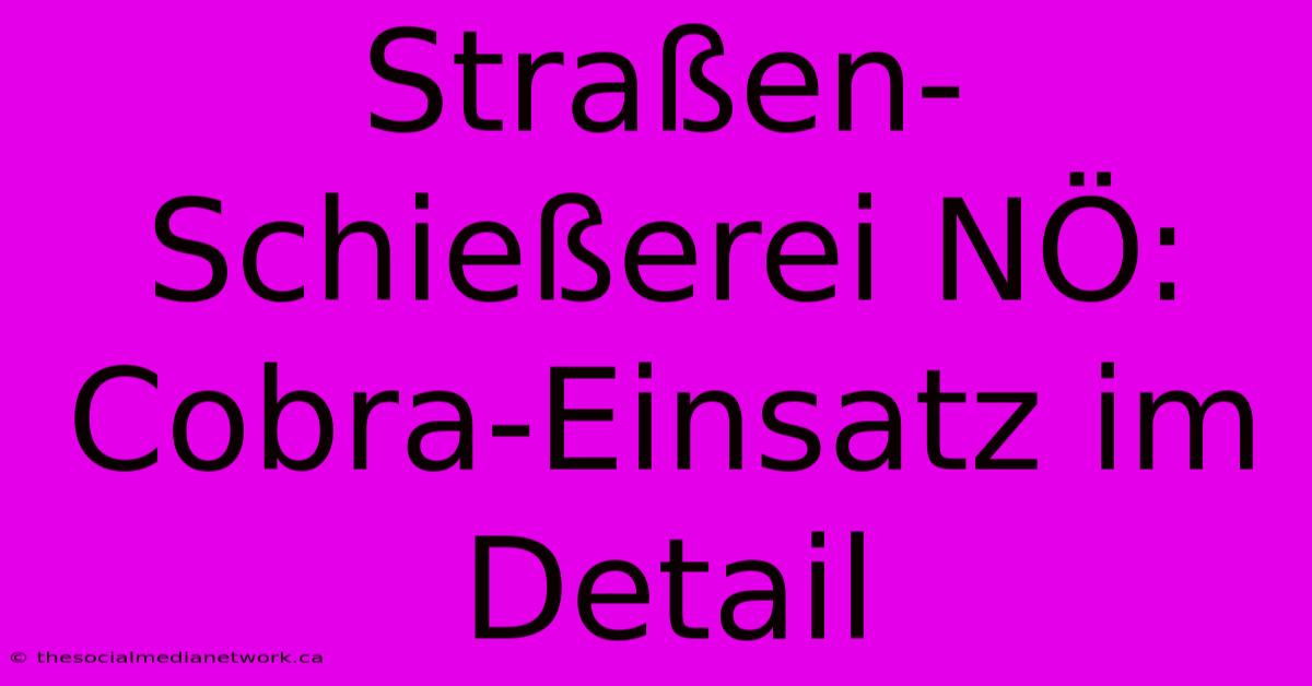 Straßen-Schießerei NÖ: Cobra-Einsatz Im Detail