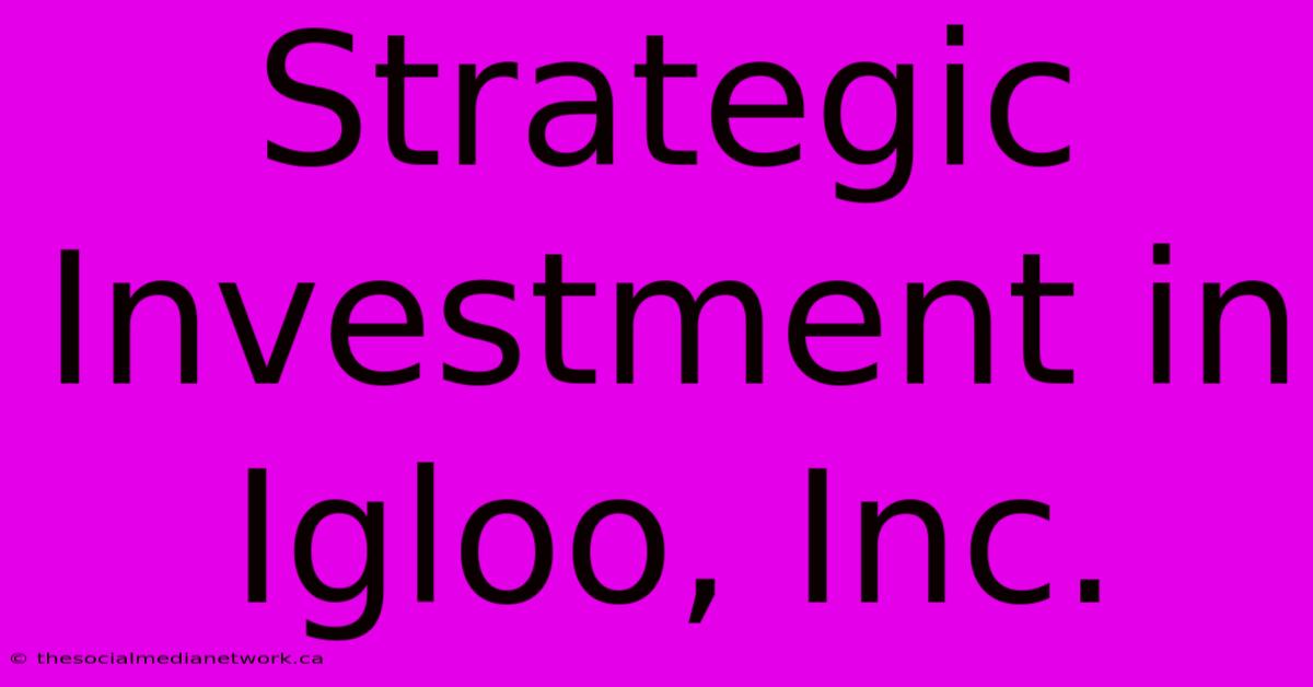 Strategic Investment In Igloo, Inc.