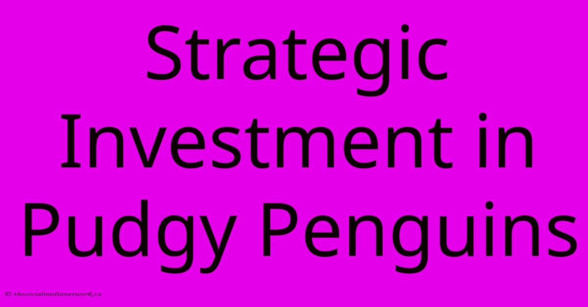 Strategic Investment In Pudgy Penguins