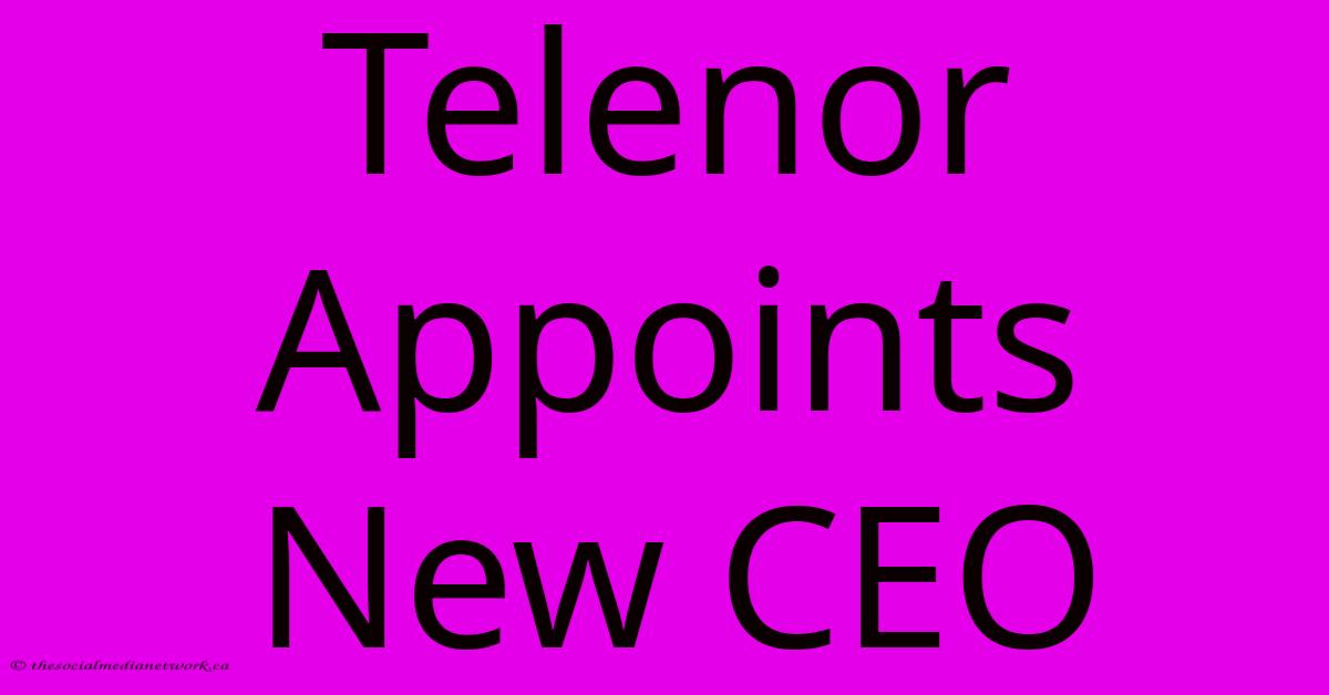 Telenor Appoints New CEO