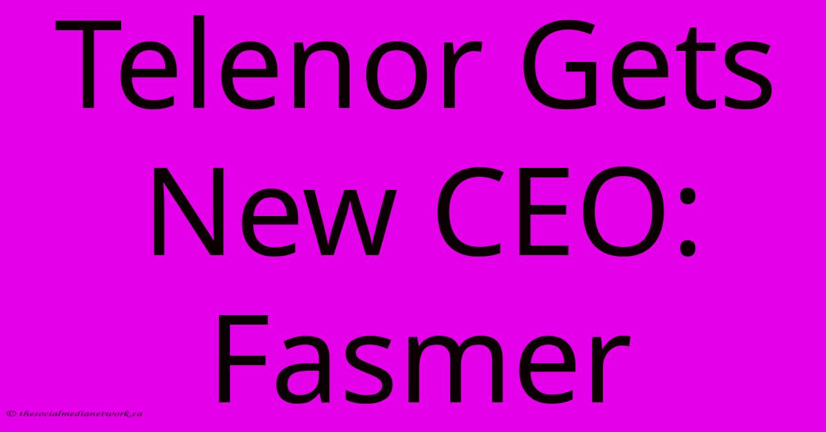 Telenor Gets New CEO: Fasmer