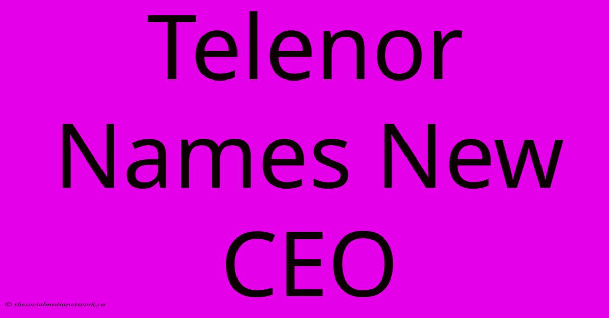 Telenor Names New CEO