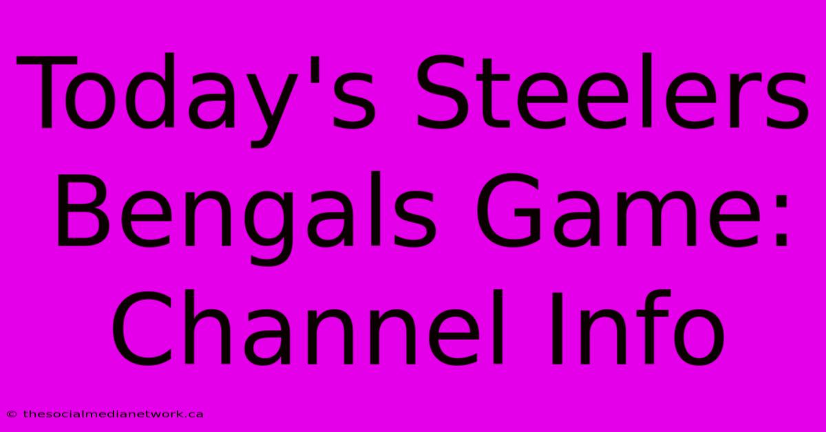 Today's Steelers Bengals Game: Channel Info