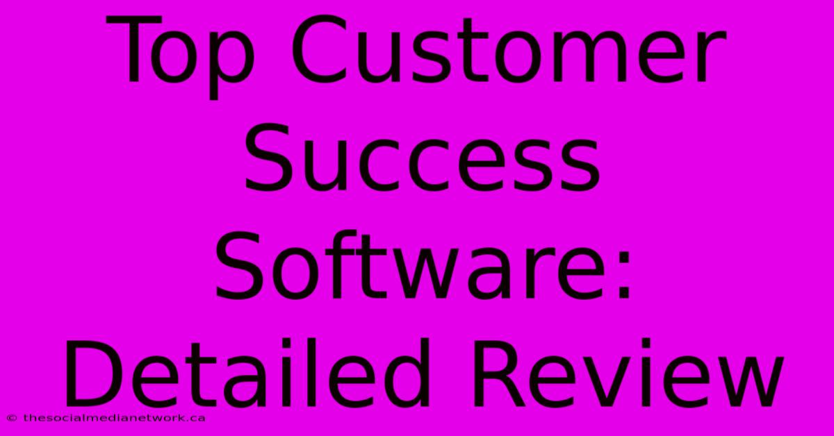 Top Customer Success Software: Detailed Review