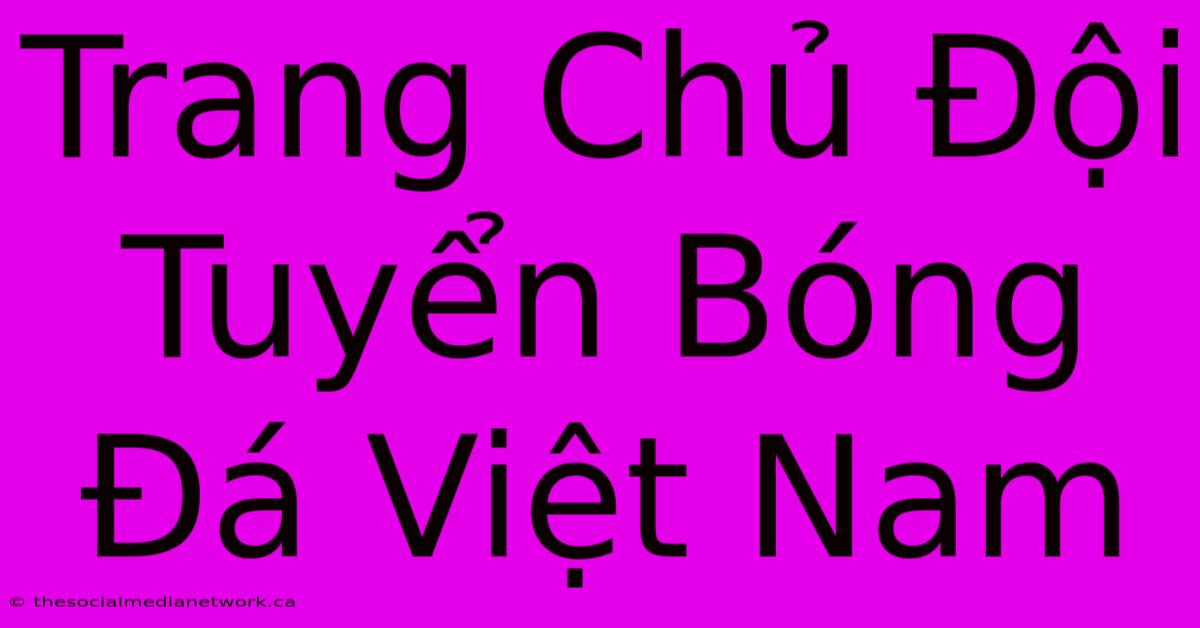 Trang Chủ Đội Tuyển Bóng Đá Việt Nam