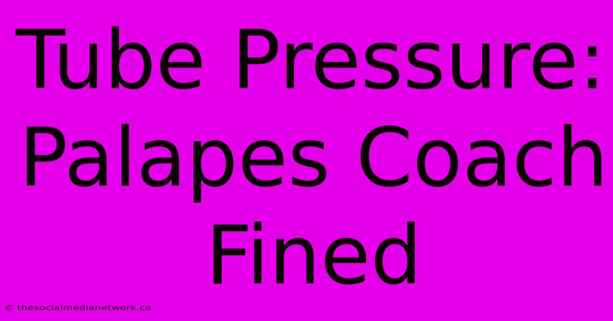 Tube Pressure: Palapes Coach Fined