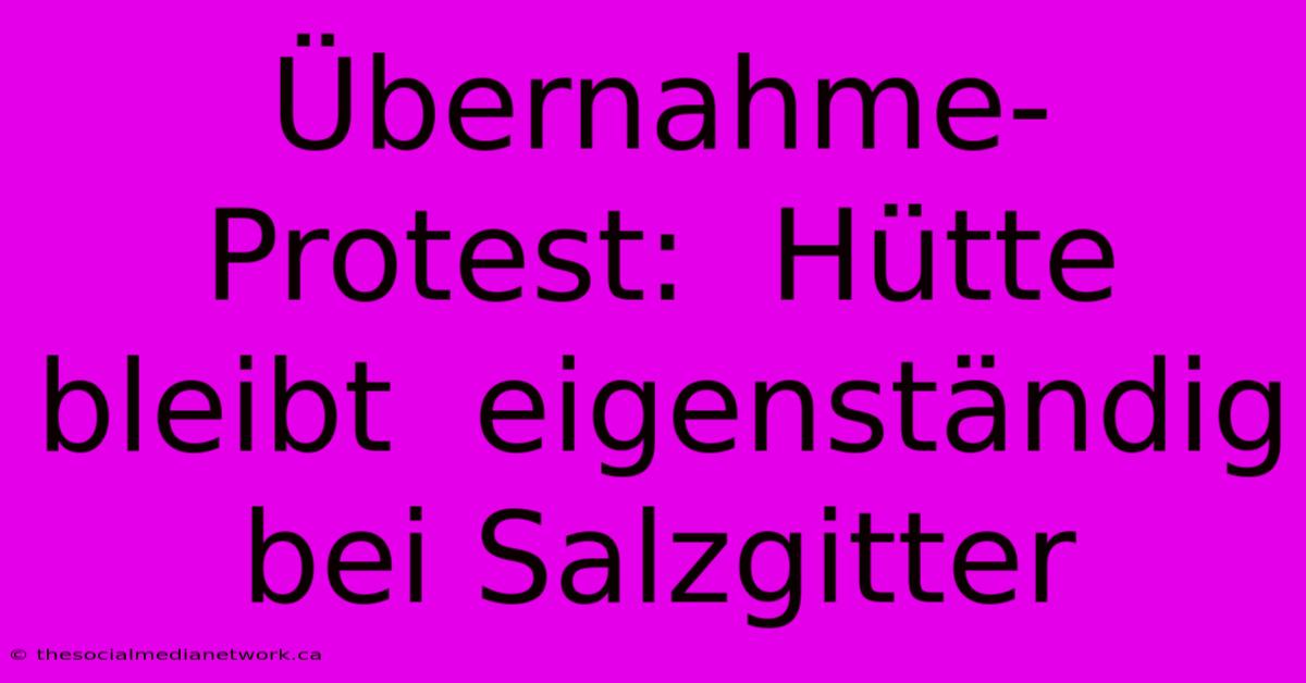 Übernahme-Protest:  Hütte  Bleibt  Eigenständig Bei Salzgitter