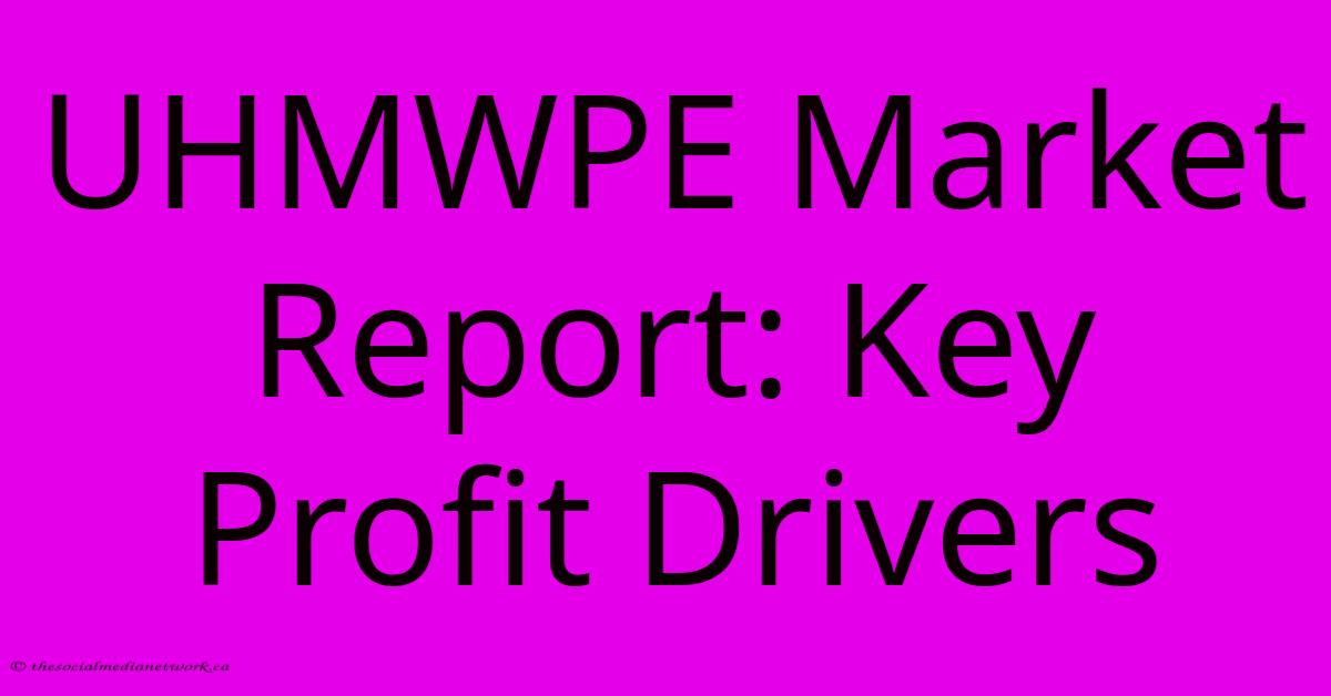 UHMWPE Market Report: Key Profit Drivers UHMWPE Market Report: Key Profit Drivers