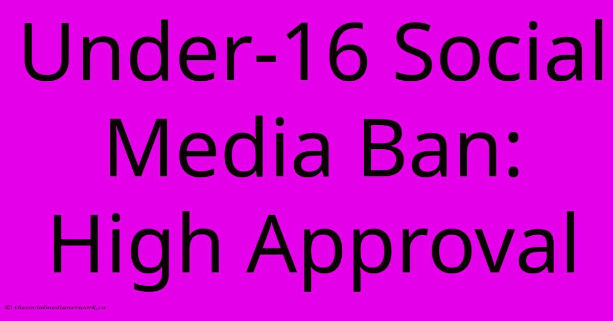 Under-16 Social Media Ban: High Approval