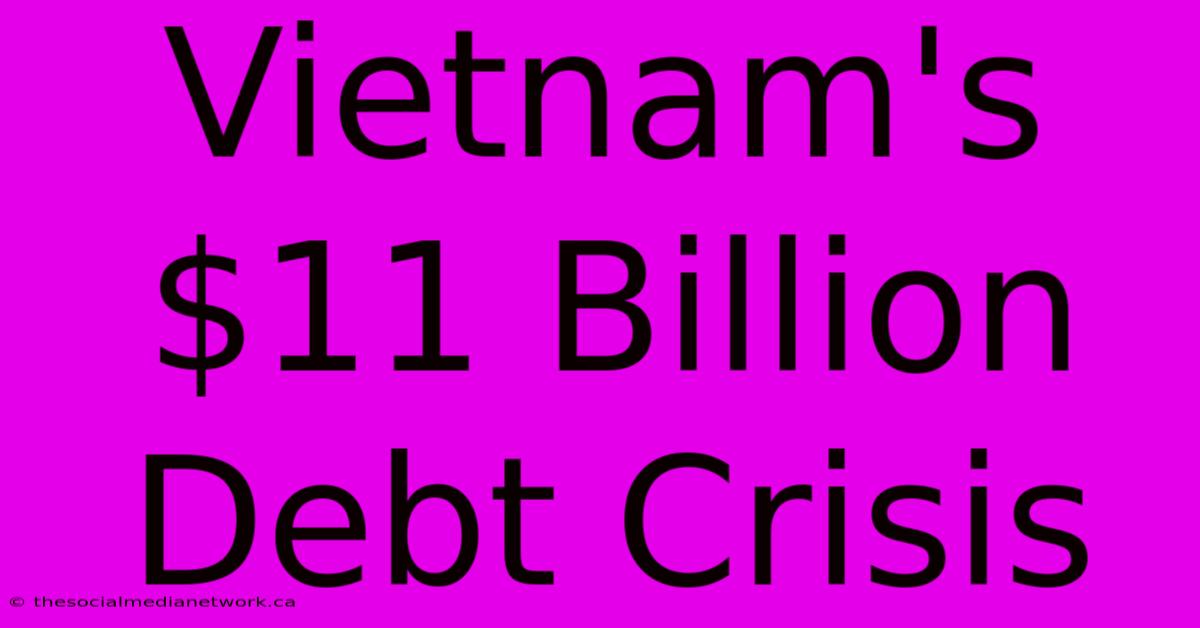 Vietnam's $11 Billion Debt Crisis