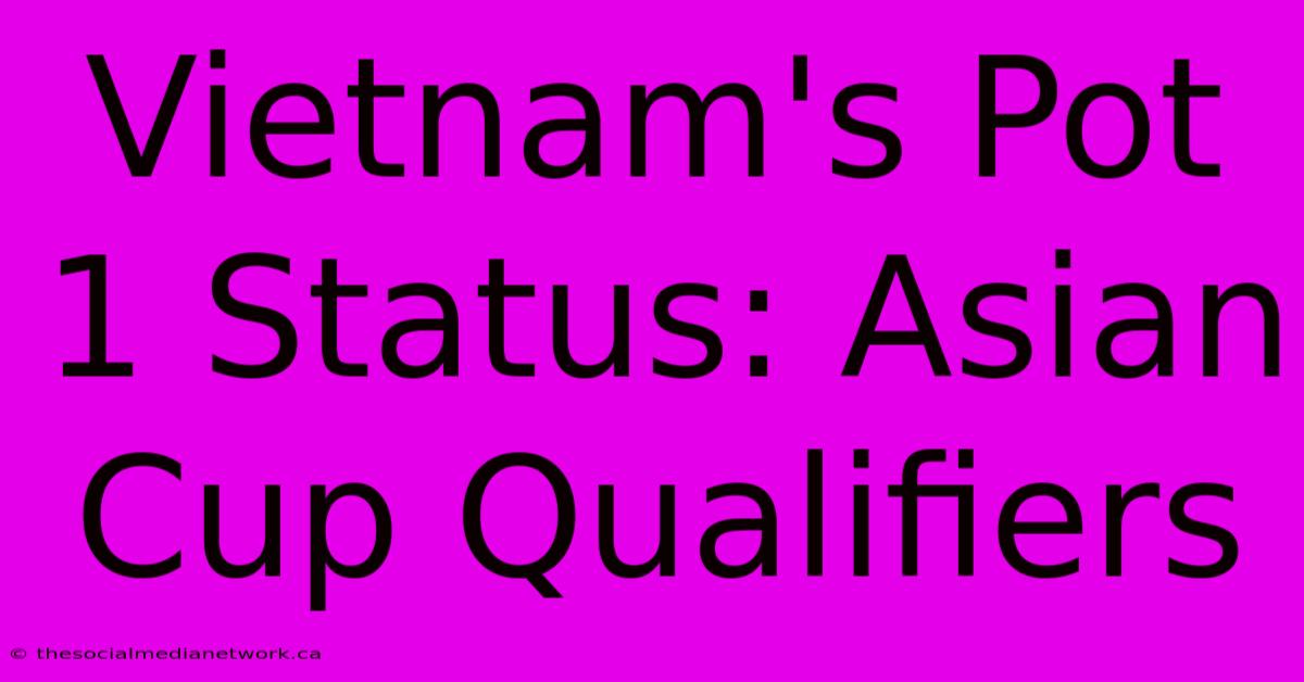 Vietnam's Pot 1 Status: Asian Cup Qualifiers