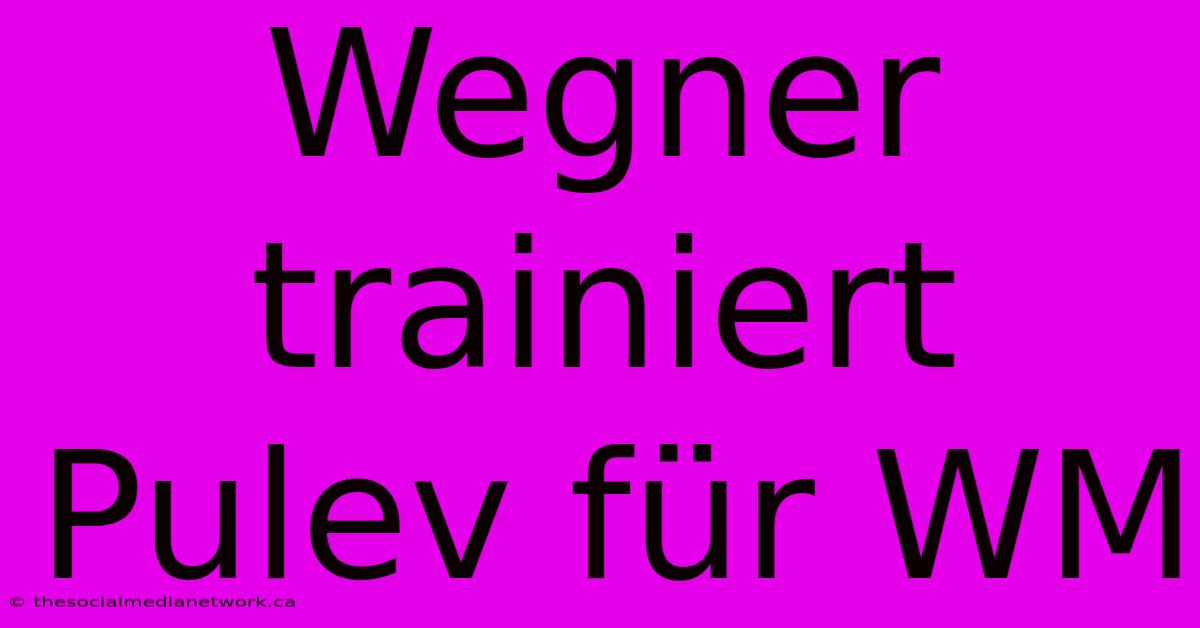 Wegner Trainiert Pulev Für WM