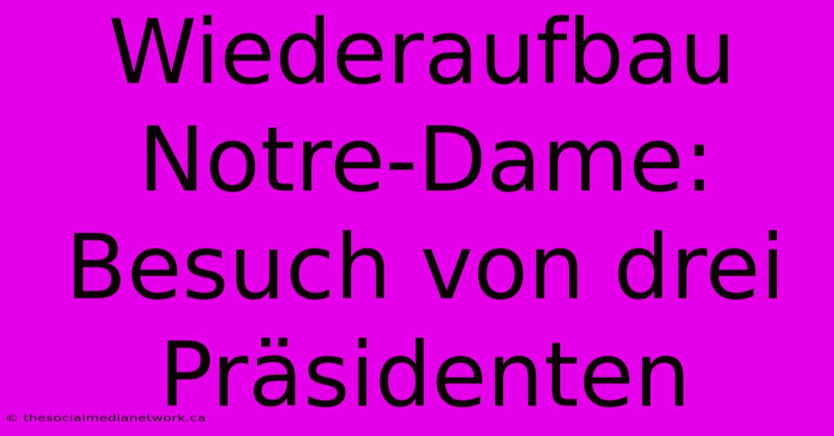 Wiederaufbau Notre-Dame: Besuch Von Drei Präsidenten