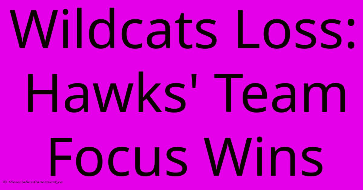 Wildcats Loss: Hawks' Team Focus Wins Wildcats Loss: Hawks' Team Focus Wins