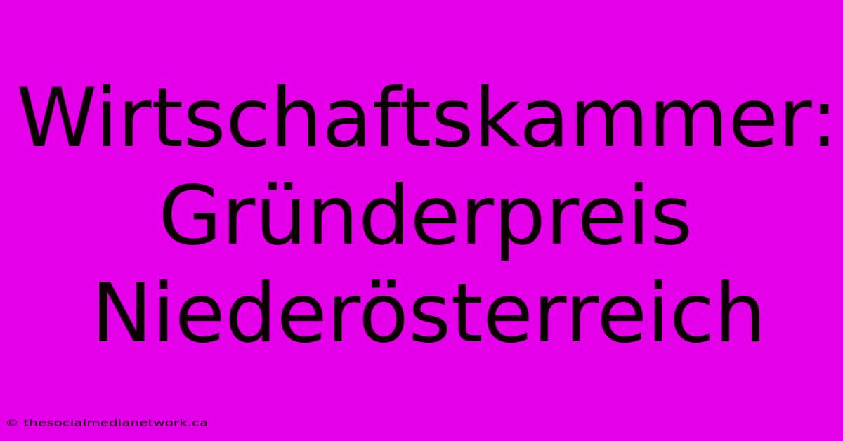 Wirtschaftskammer: Gründerpreis Niederösterreich