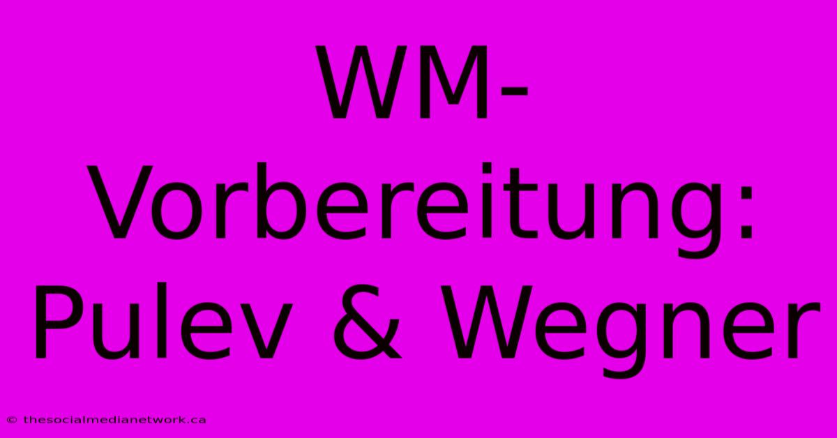 WM-Vorbereitung: Pulev & Wegner