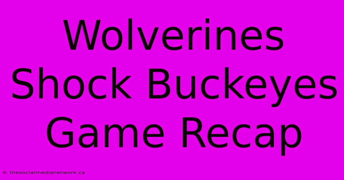 Wolverines Shock Buckeyes Game Recap