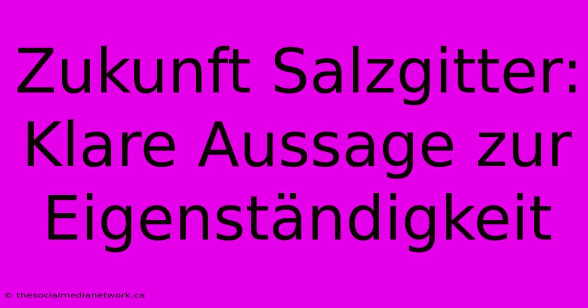 Zukunft Salzgitter:  Klare Aussage Zur Eigenständigkeit